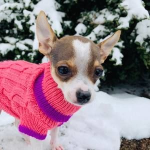 Meet your Posher, Gabriela